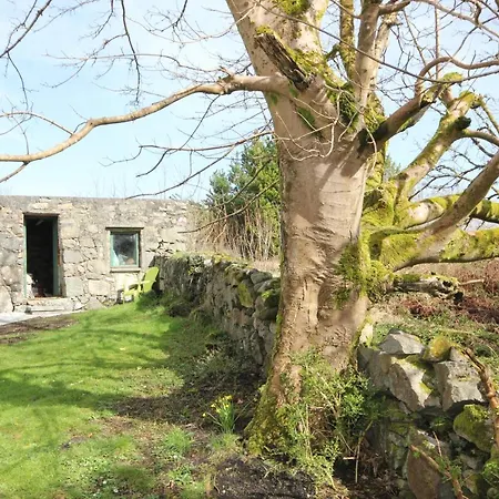 Atlantic Way - Peaceful Connemara Retreat Near Aran Islands Holiday home *