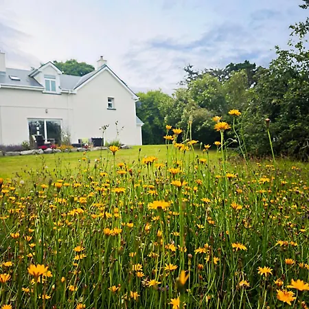 Atlantic Way - Peaceful Connemara Retreat Near Aran Islands Holiday home *