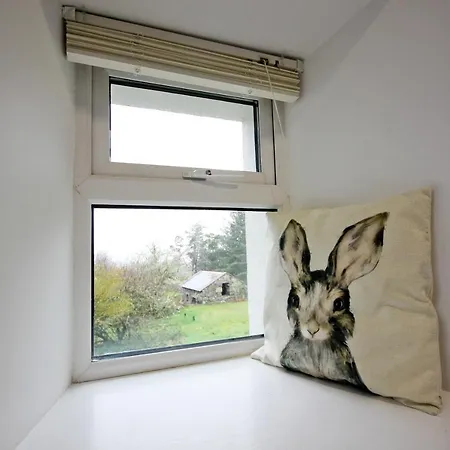 Atlantic Way * غالواي